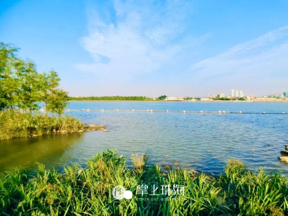 珠海又增一处湿地公园!景美人少,现在去刚刚刚好