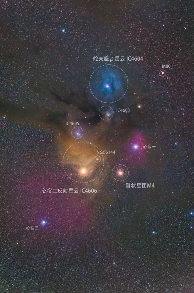 深空摄影星空调色盘心宿二和蛇夫座ρ区域的星云