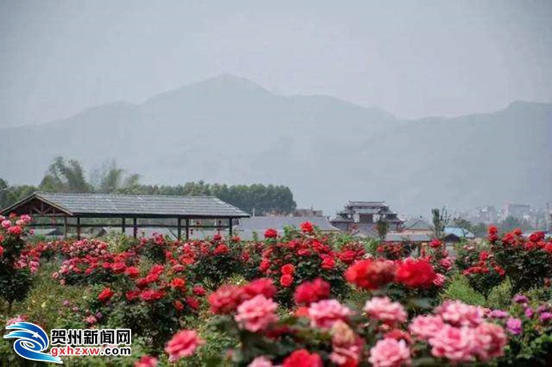 贺州又有14个地方被评为星级乡村旅游区