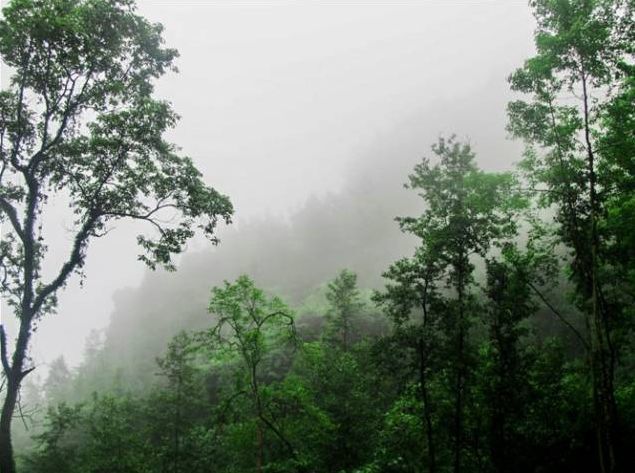 森林康养基地,恩阳章怀山