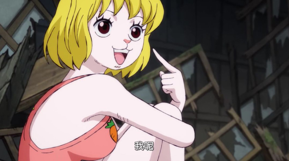 《海贼王》里被公认的四大美女,你最喜欢哪位?
