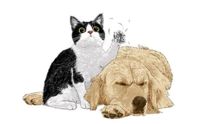 插画中的猫和狗