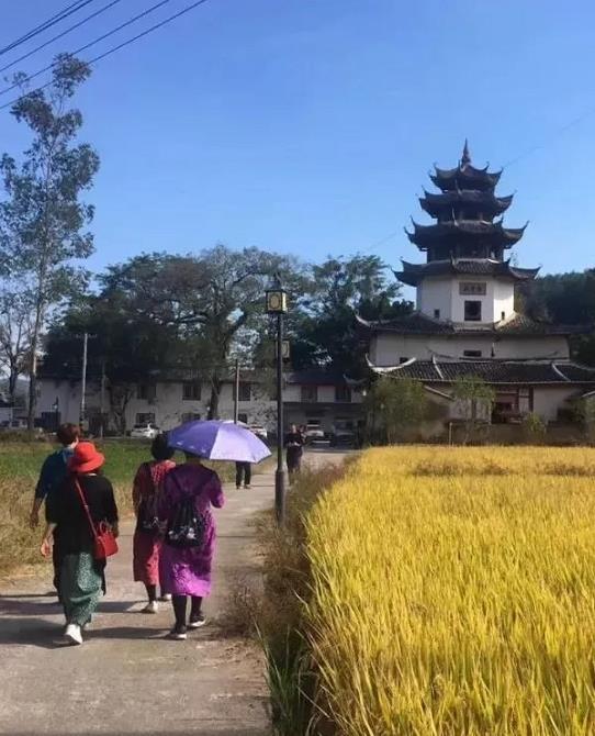 西片村,位于福建龙岩市永定区湖坑镇