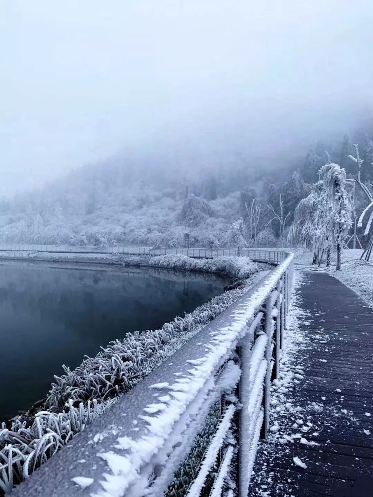 去北方赏雪?太麻烦了!重庆这几个地方也有绝美雪景