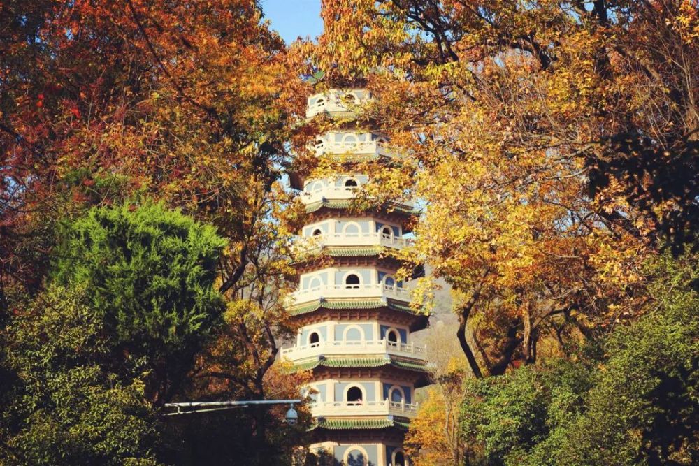 秘境银杏染古寺,灵谷寺中藏着金陵城最美的色彩