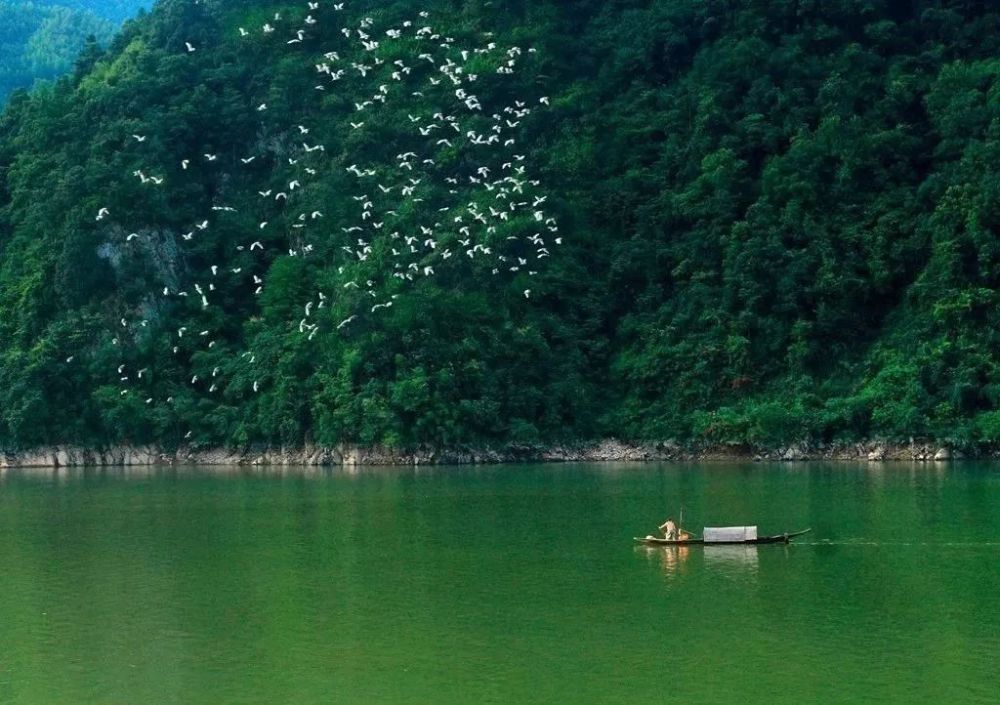 马鞍镇有多少人口_新郑龙湖镇有多少人口