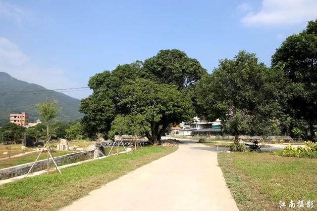 美丽乡村—潮州意溪镇桂坑村