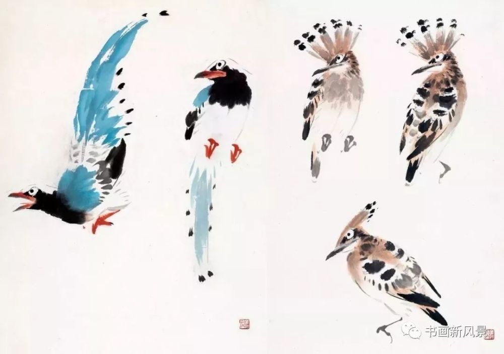 萧朗 啄木鸟画法