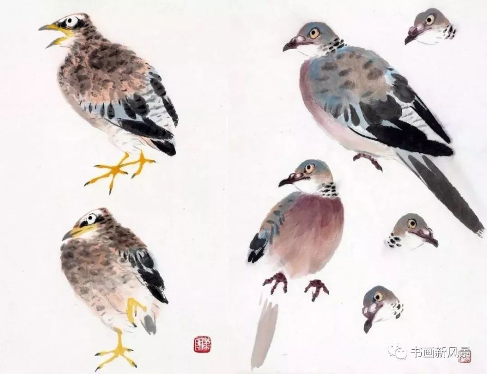 萧朗 麻雀画法