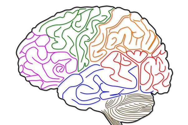 孩子总是情绪失控?科学使用"心智阶梯",帮助孩子拥有更好情绪