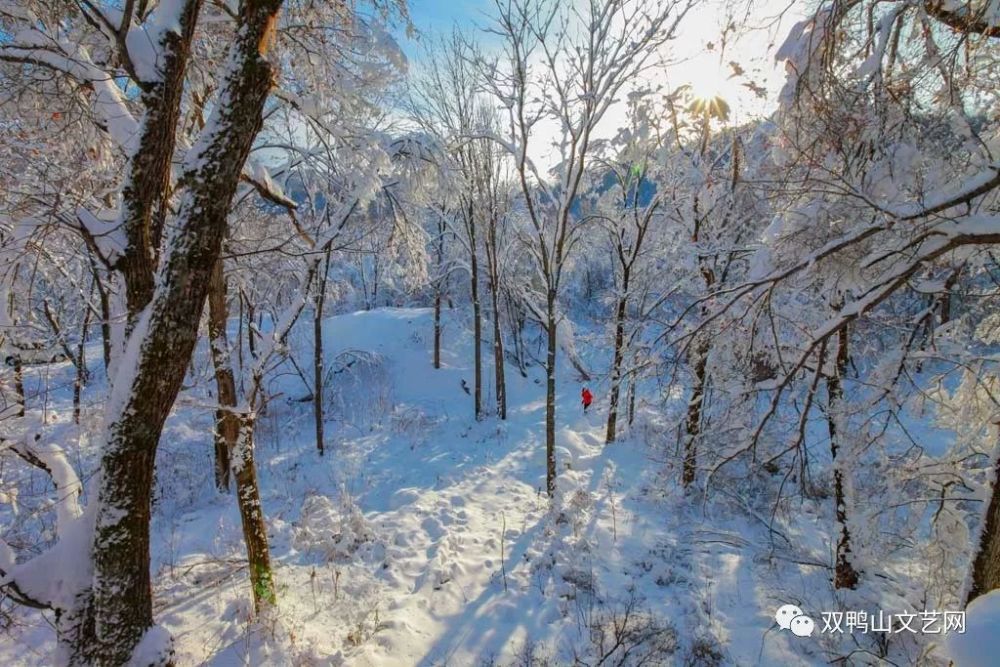 冬灵雪浴七星峰集贤的冬天如此唯美