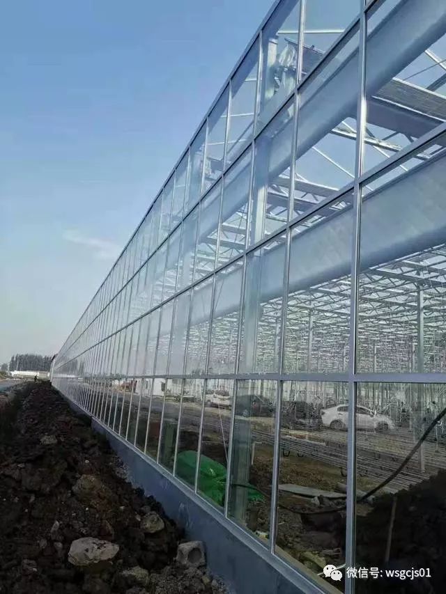 北方地区连栋温室大棚内保温正确用法?才会有效果