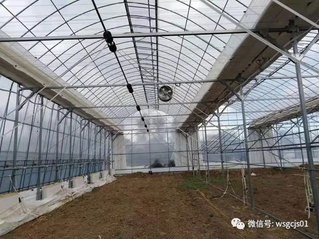北方地区连栋温室大棚内保温正确用法?才会有效果