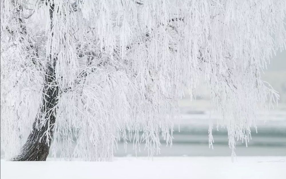 素雪纷纷鹤委清风飙飙入袖