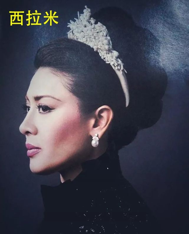 西拉米王妃的美是公认的,她长着一张明星脸,气质成熟又高贵,一颦一笑