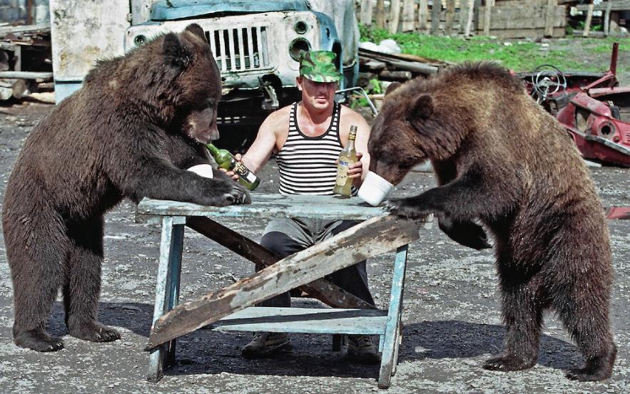 毛熊之国大部分俄罗斯人认为熊是祖国最合适象征