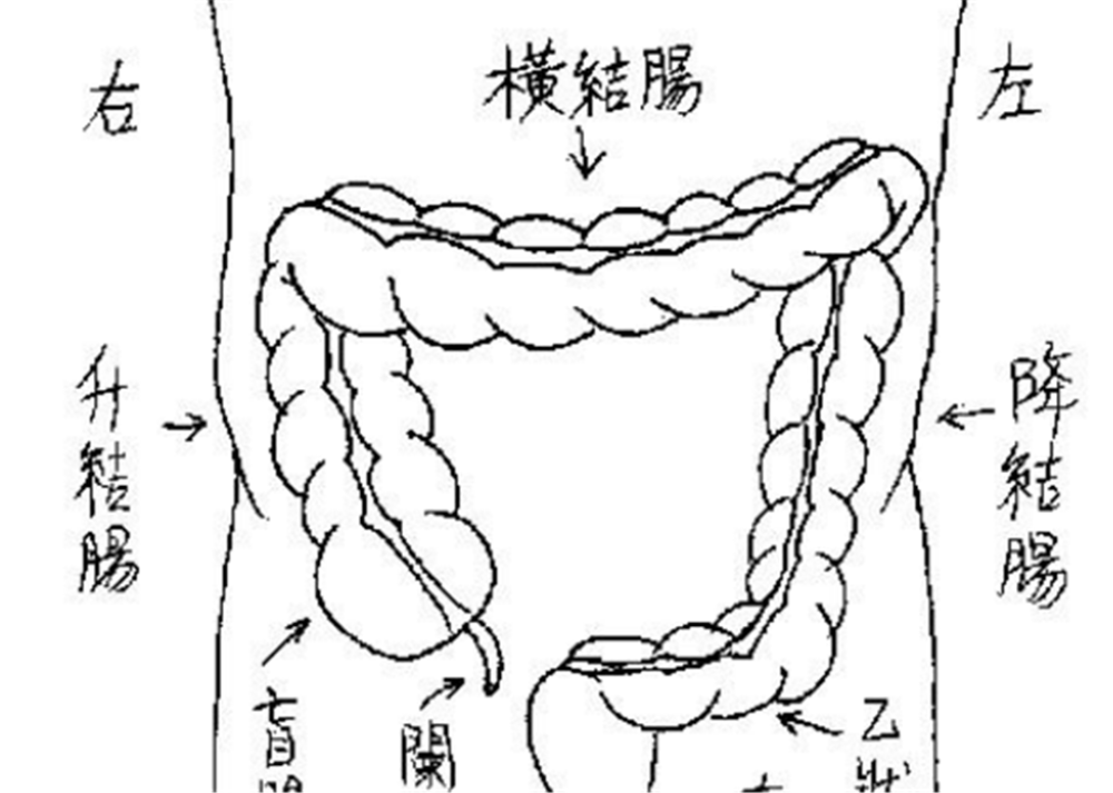 上面说了结肠所跨越的范围很广,所以出现病变的部位不一样,疼痛位置也