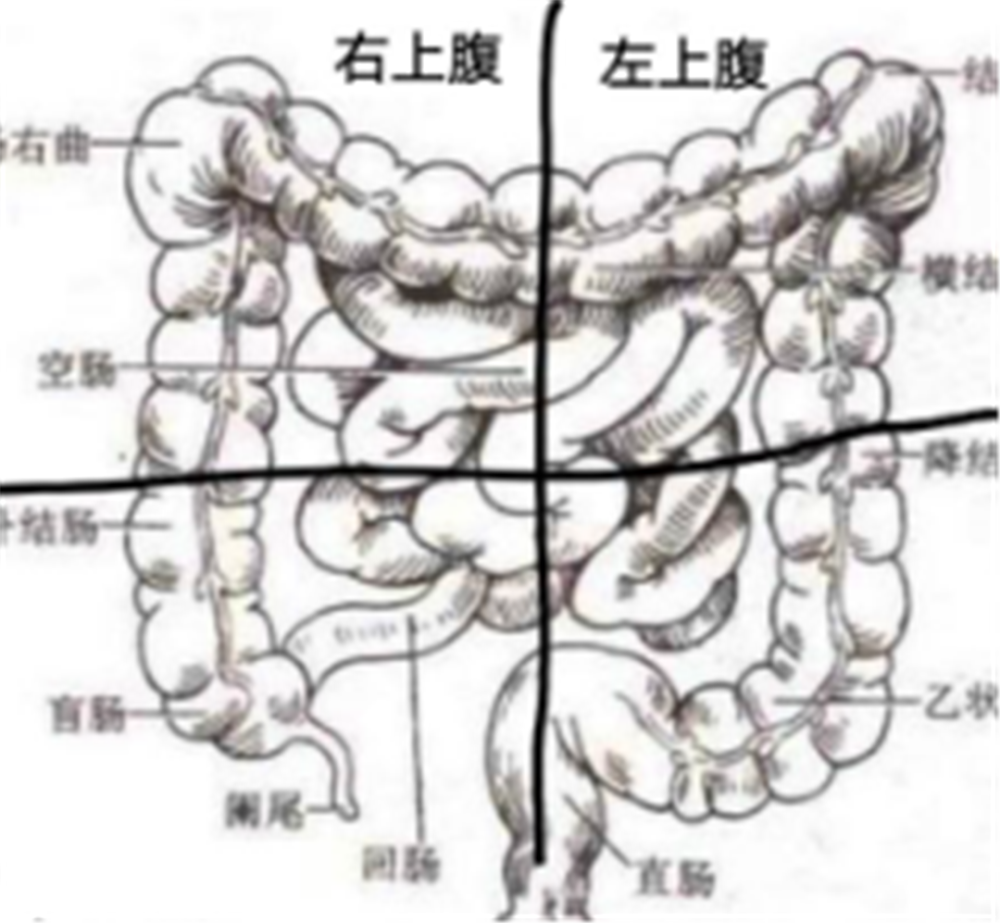 上面说了结肠所跨越的范围很广,所以出现病变的部位不一样,疼痛位置也