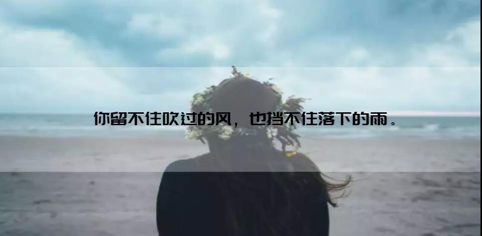 感情,强求的不美,追来的很累