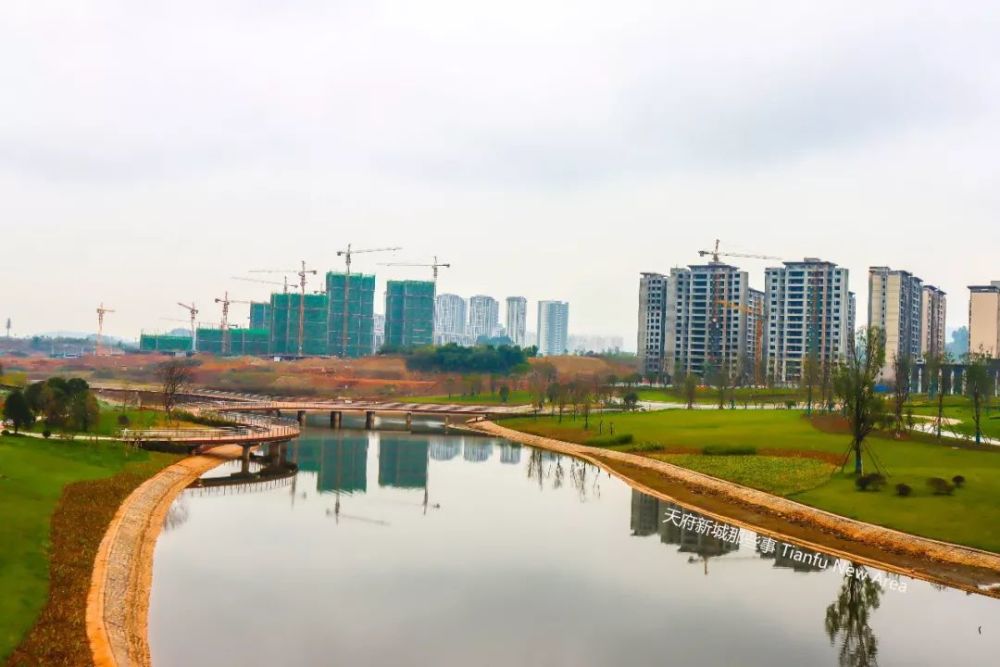 柴桑河生态湿地公园实景