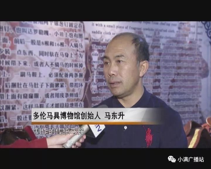 中国鞍马文化展关注中国马文化与世界马文明