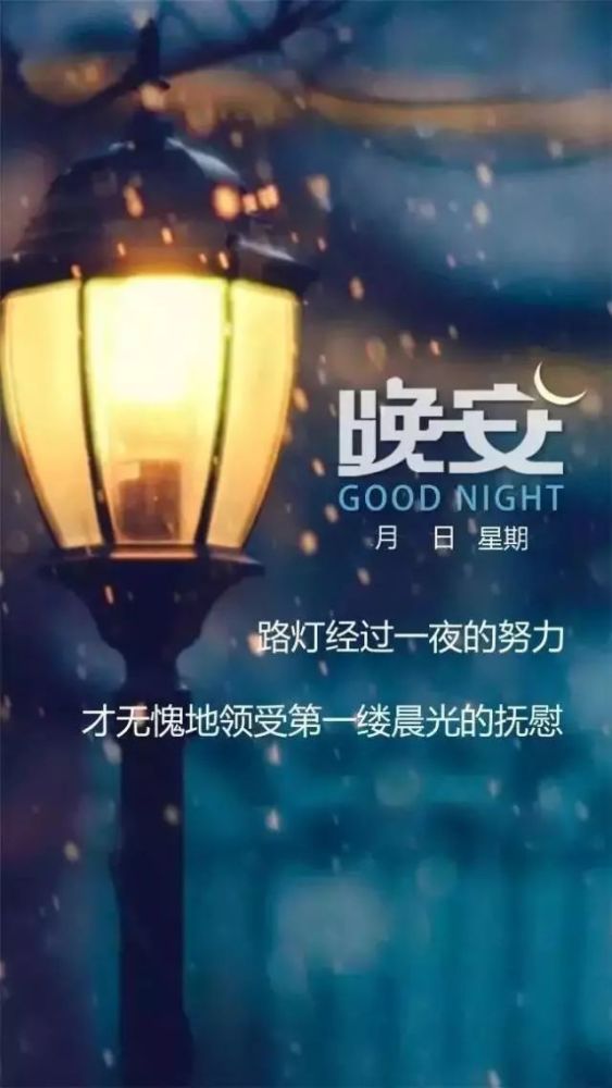 温馨简短的正能量语录,睡前问候晚上好的暖心句子