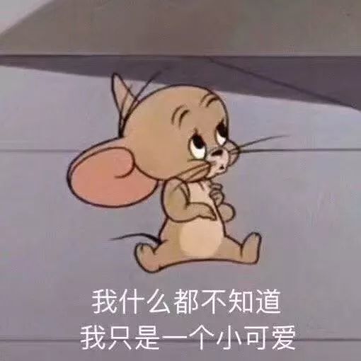 小杰瑞表情包