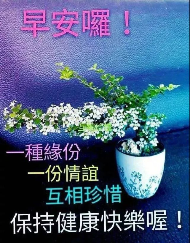 清早漂亮问候图片短信祝福语最美早安问候祝福语图片带字
