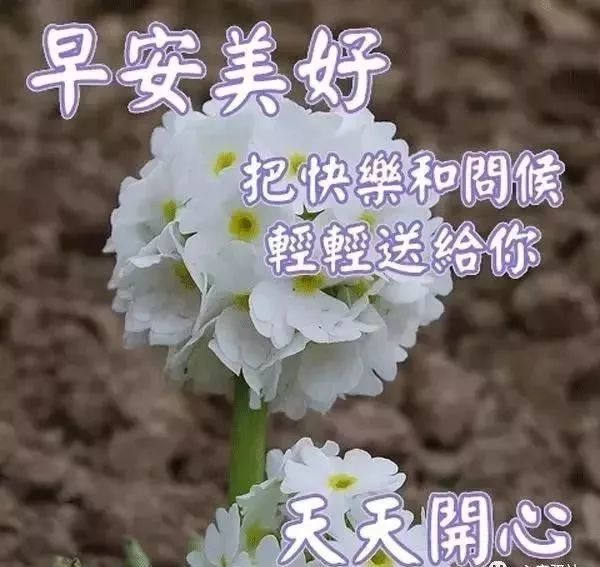 11月1日早安问候每日一祝