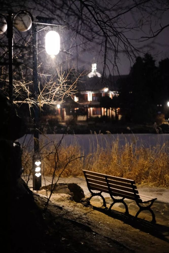 如约而至 奏响冬日序曲 昨夜 是否一起守候 是否一起表白 这初雪的