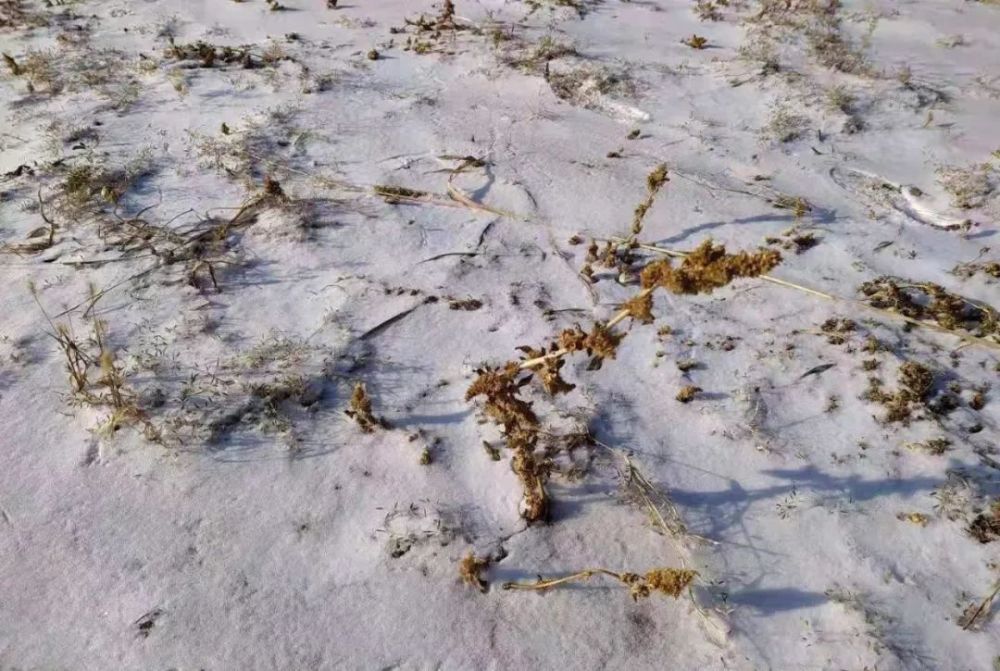赤峰这里山乡染雪阡陌如画
