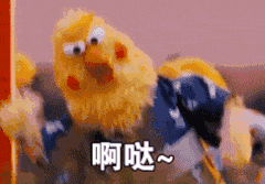 搞错了,重来