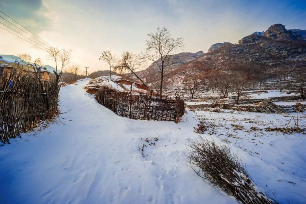 一场薄雪,不成敬意