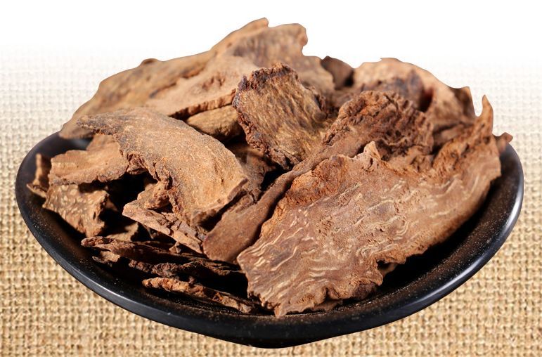 每日一味中药——锁阳