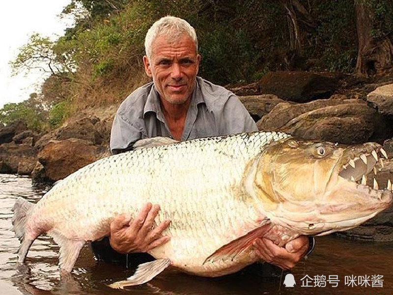 三大"食人鱼"入侵中国,一种上了餐桌,一种已经全军覆没!