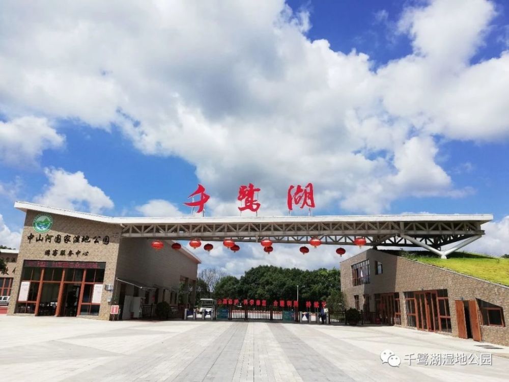 研学季 亲近大自然!生态科普课堂喊你来武平千鹭湖