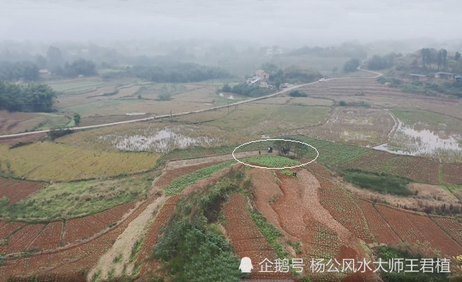 风水大师王君植带成都风水培训班寻龙点穴下山蟒蛇,风水宝地被明清