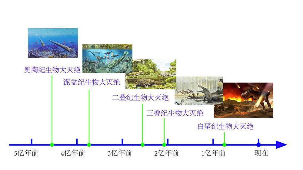 第一次大灭绝:奥陶纪大灭绝 在距今4.