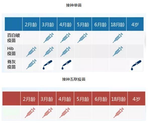 五联疫苗一种顶五种:宝宝健康的"神助攻"