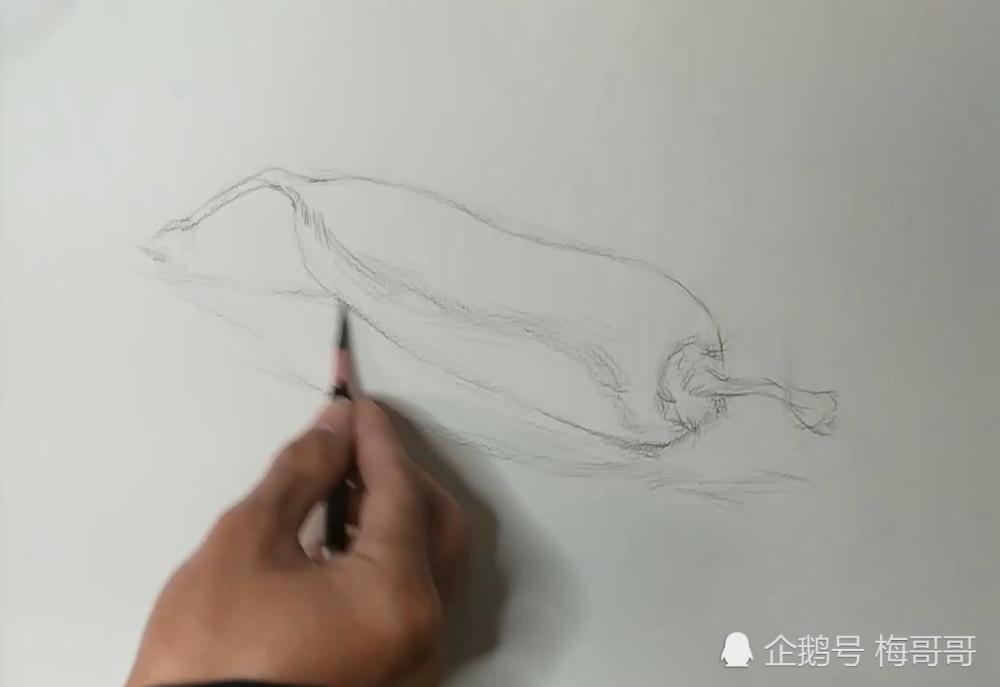 素描课堂,白萝卜素描光影讲解