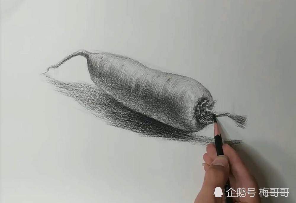 素描课堂,白萝卜素描光影讲解