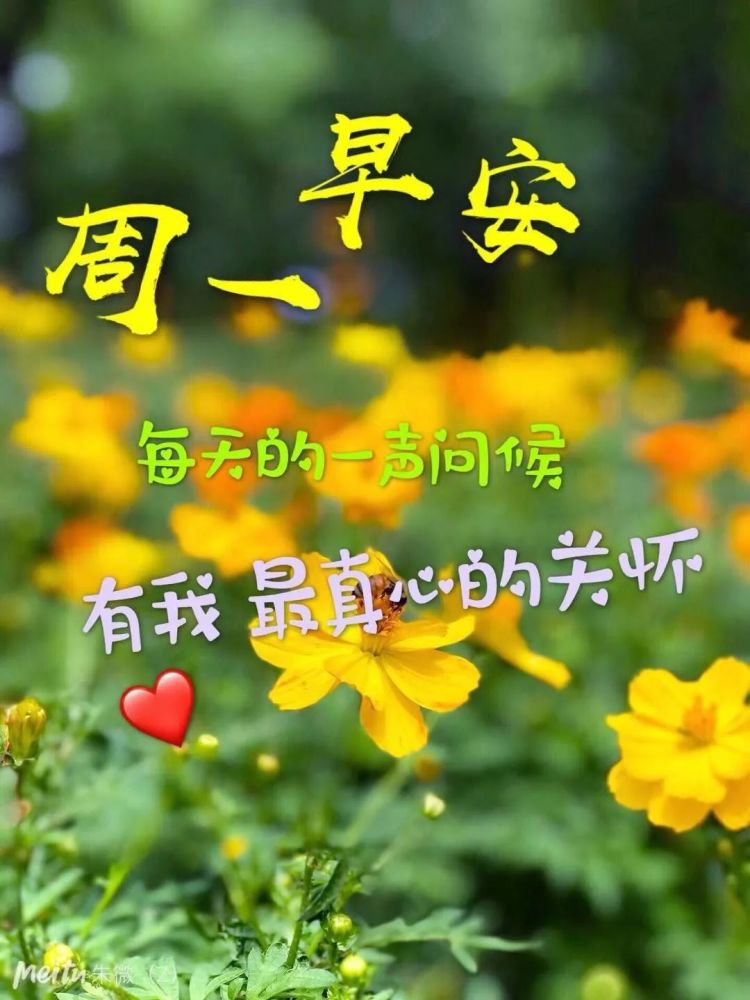 12月20日周一早上好问候语冬季周一早安天冷温馨祝福语好看的图片带字