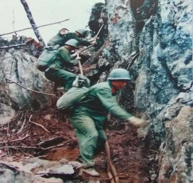 撤下老山,战士须发遮脸,军装看不出颜色,师长心痛内疚