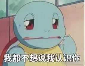 杰尼龟表情包:让爷好好看看你这个憨批