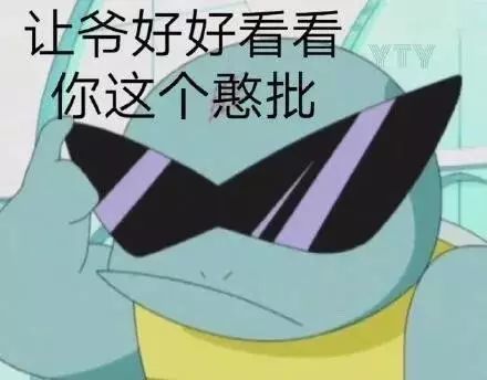 杰尼龟表情包:让爷好好看看你这个憨批
