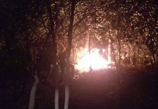 江西一公园内放鞭炮燃大火 徐州法官返乡挺身