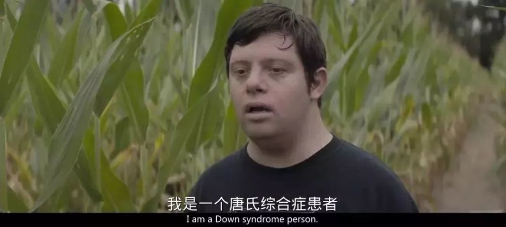 烂番茄95%,好莱坞坏小子终于从良了