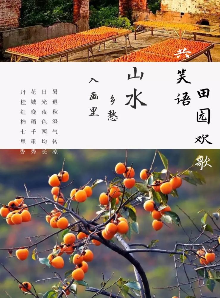 2019年国庆旅游经济总量_2015中国年经济总量(2)