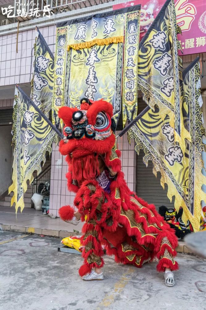 霸气醒狮style强势来袭!台山春义堂龙狮团给你不一样的年味.