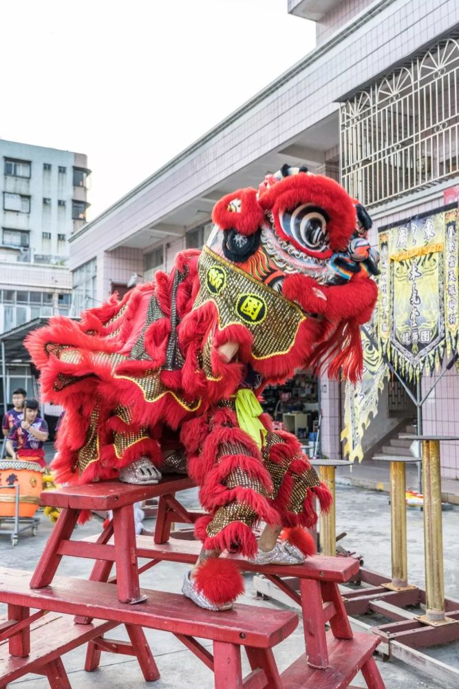 霸气醒狮style强势来袭!台山春义堂龙狮团给你不一样的年味.